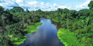 Acre destaca avanços na gestão hídrica e promove ações de conscientização no Dia Mundial da Água acre-destaca-avancos-na-gestao-hidrica-e-promove-acoes-de-conscientizacao-no-dia-mundial-da-agua