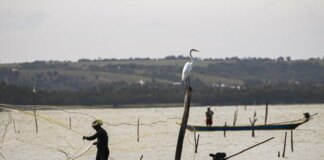 sexto-lote-do-seguro-defeso-sera-disponibilizado-na-terca-feira