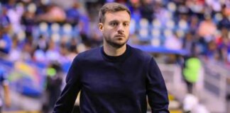 botafogo-demite-tecnico-martin-anselmi