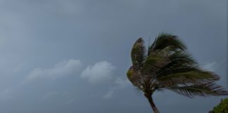 chuvas-atingem-norte,-nordeste-e-litorais-de-sul-e-sudeste-esta-semana