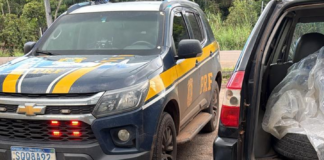 policia-civil-e-prf-apreendem-mais-de-230-kg-de-skunk-durante-operacao-na-br-364