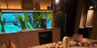 pavilhao-do-acre-na-bienal-destaca-cultura-e-cotidiano-das-mulheres-seringueiras