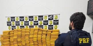 prf-e-policia-civil-apreendem-230-kg-de-skunk-na-br-364