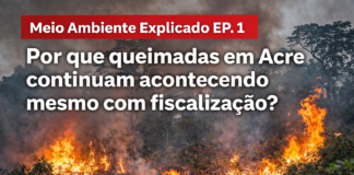 meio ambiente explicado em acre queimadas floresta impacto
