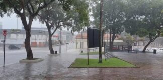 🌤️ Clima & Tempo no Acre clima e tempo no Acre com céu nublado e chuva em Rio Branco Acre