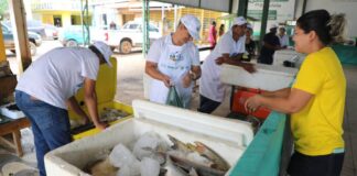 com-apoio-do-sebrae,-feira-do-peixe-movimenta-economia-de-11-municipios-acreanos