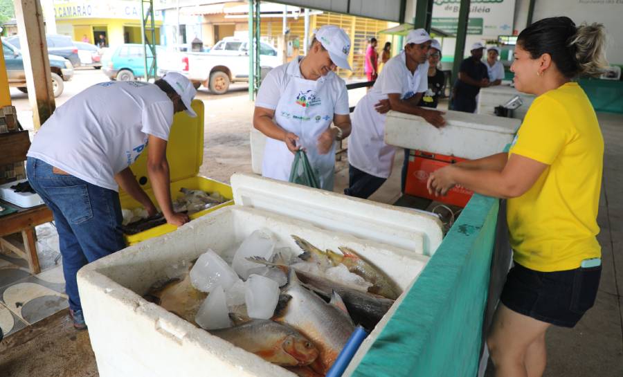 com-apoio-do-sebrae,-feira-do-peixe-movimenta-economia-de-11-municipios-acreanos