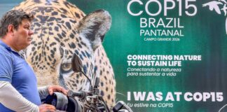 cop15-inclui-mais-40-especies-migratorias-em-lista-de-protecao