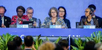 campo-grande-sedia-conferencia-da-onu-sobre-especies-migratorias