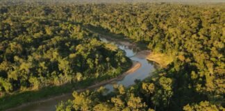 Amazonia-Acre-floresta-preservacao-economia-pressao-ambiental