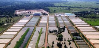Peixes da Amazônia no Acre estrutura piscicultura crise investimento