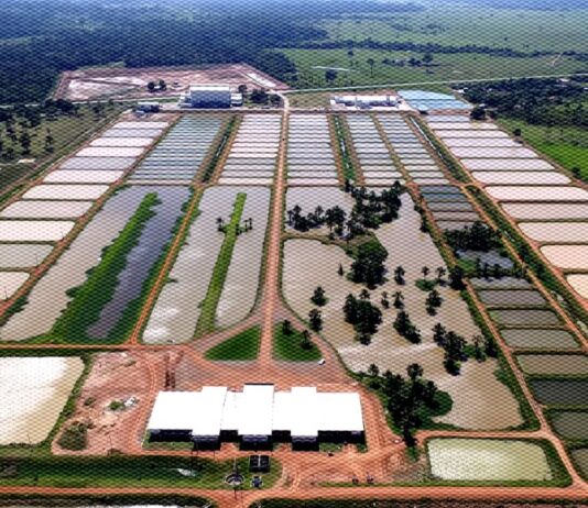 Peixes da Amazônia no Acre estrutura piscicultura crise investimento