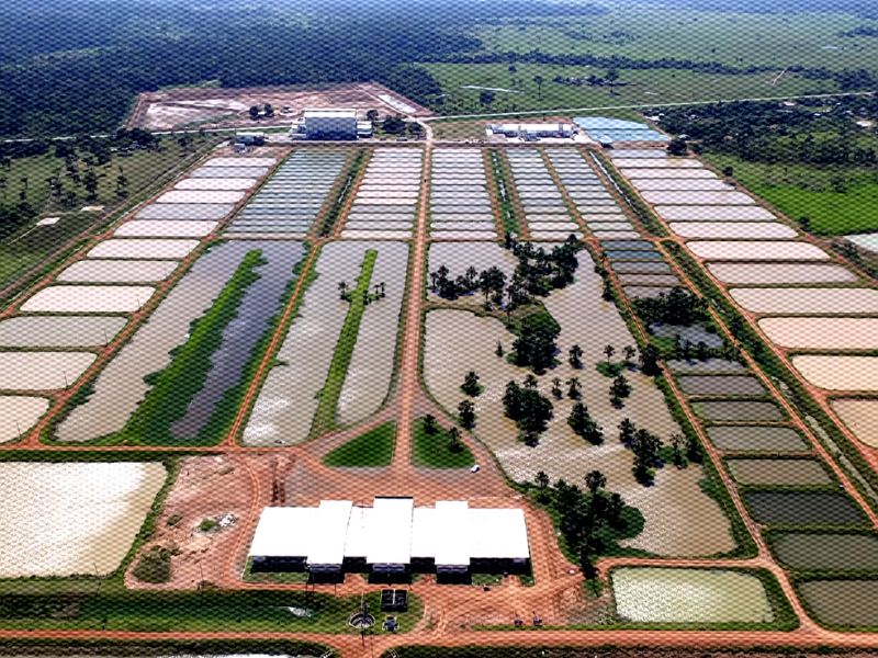 Peixes da Amazônia no Acre estrutura piscicultura crise investimento