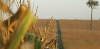 economia-global-impacto-Acre-precos-logistica-mercado-internacional