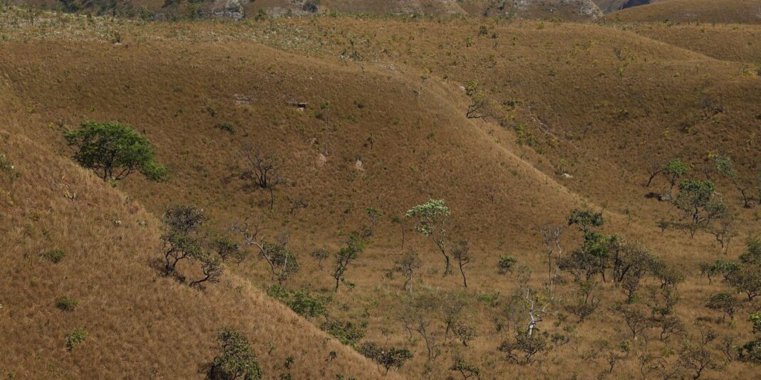 mapbiomas:-fragmentacao-de-areas-naturais-quase-triplicou-em-40-anos