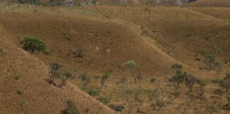 mapbiomas:-fragmentacao-de-areas-naturais-quase-triplicou-em-40-anos