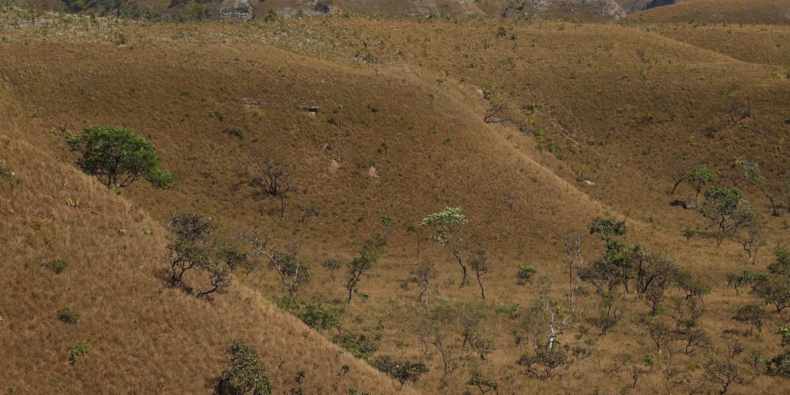 mapbiomas:-fragmentacao-de-areas-naturais-quase-triplicou-em-40-anos