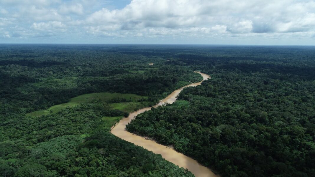 Meio ambiente no Acre terá 27 ações em junho