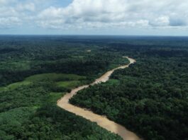 Meio ambiente no Acre terá 27 ações em junho
