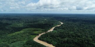 Mês do Meio Ambiente no Acre terá 27 ações; entenda por que isso importa na vida real Meio ambiente no Acre terá 27 ações em junho