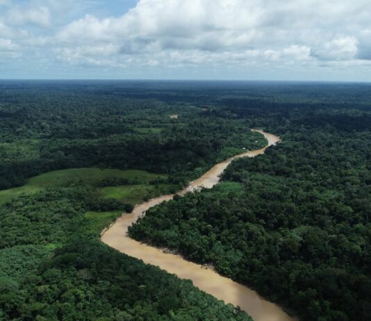 Meio ambiente no Acre terá 27 ações em junho