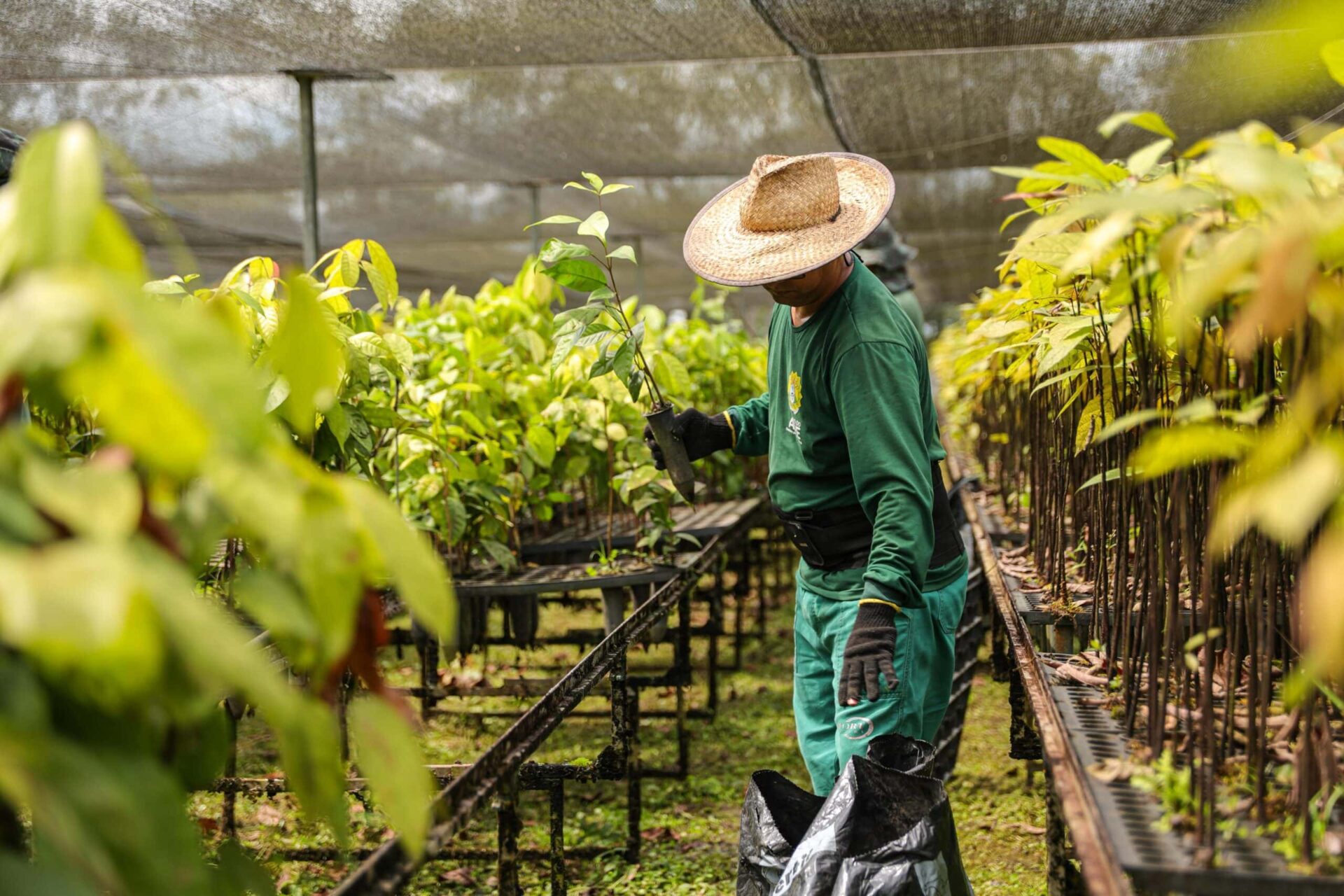 economia do Acre com produção renda logística e desenvolvimento regional