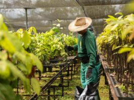 economia do Acre com produção renda logística e desenvolvimento regional