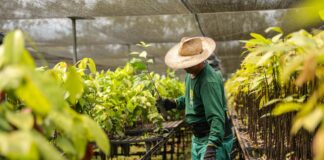 economia do Acre com produção renda logística e desenvolvimento regional