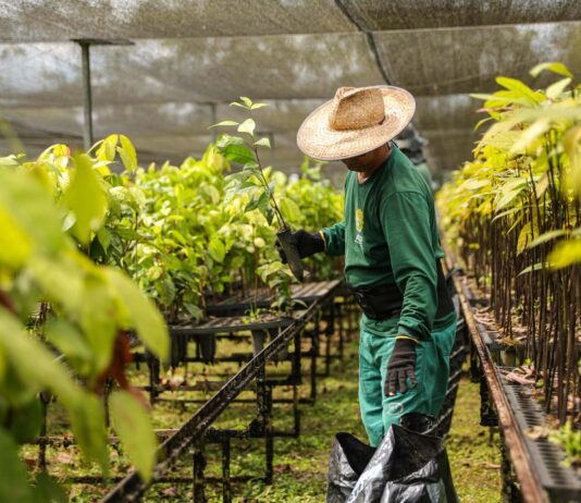 economia do Acre com produção renda logística e desenvolvimento regional