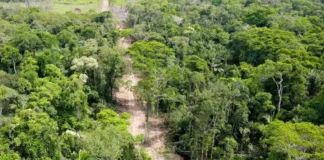 Acre é cobrado pelo MPF após denúncia de bloqueio de ramal na Terra Indígena Jaminawa