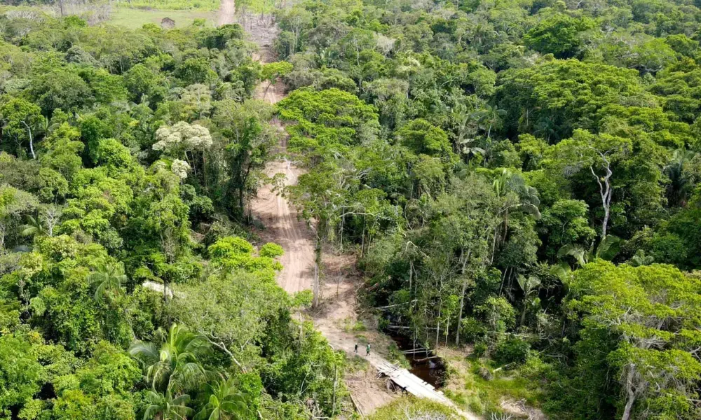 Acre é cobrado pelo MPF após denúncia de bloqueio de ramal na Terra Indígena Jaminawa