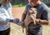 Vacinação antirrábica chega às casas do Cadeia Velha em Rio Branco Vacinação antirrábica no Cadeia Velha imuniza cães e gatos em Rio Branco
