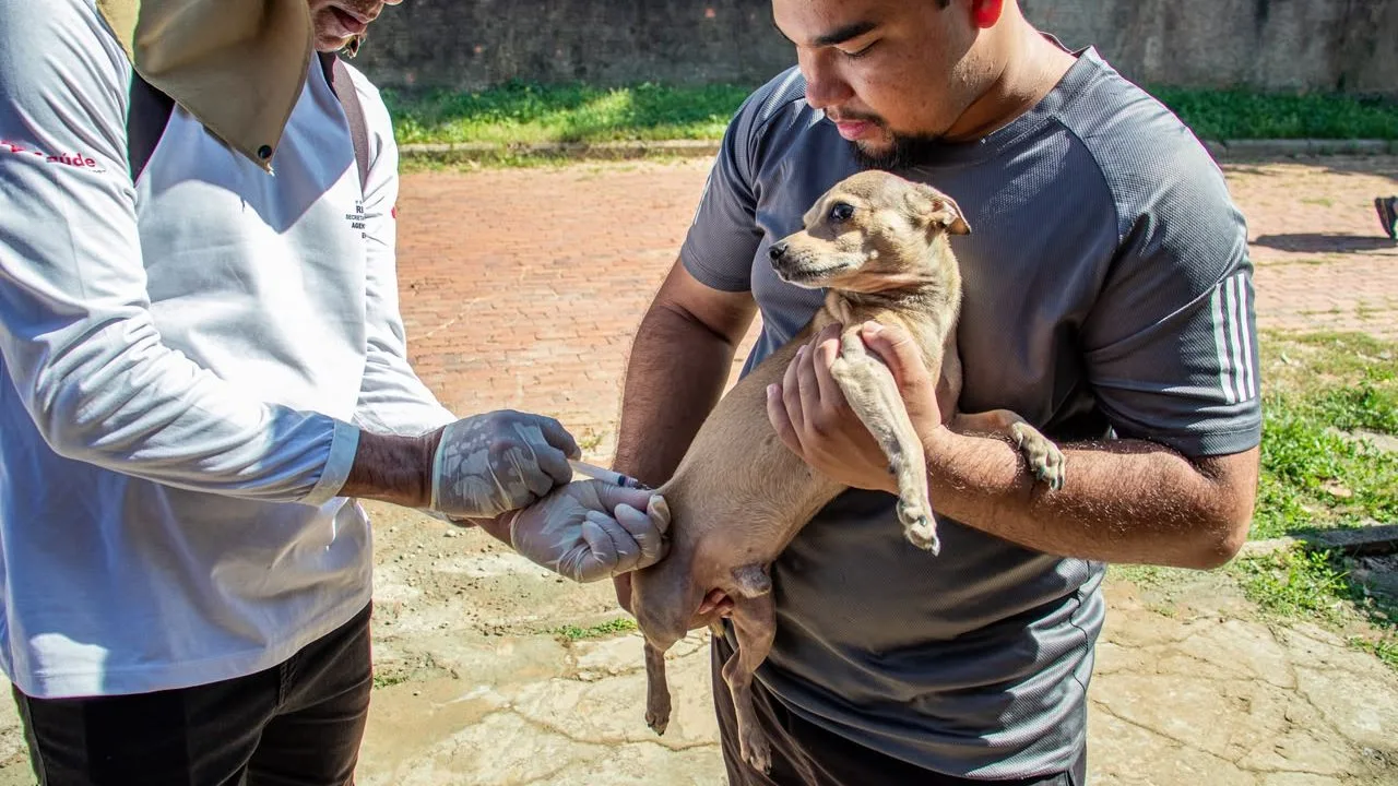 Vacinação antirrábica no Cadeia Velha imuniza cães e gatos em Rio Branco